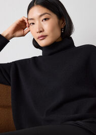 Cashmere Seam Roll Neck Knit