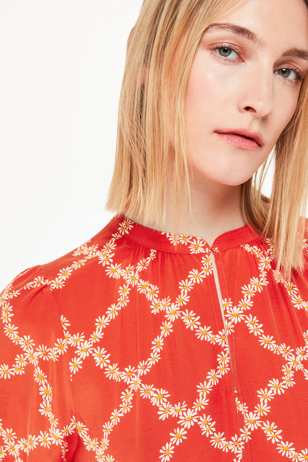 Daisy Trellis Trapeze Dress