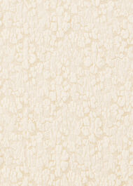 Jersey Lace Long Sleeve Top