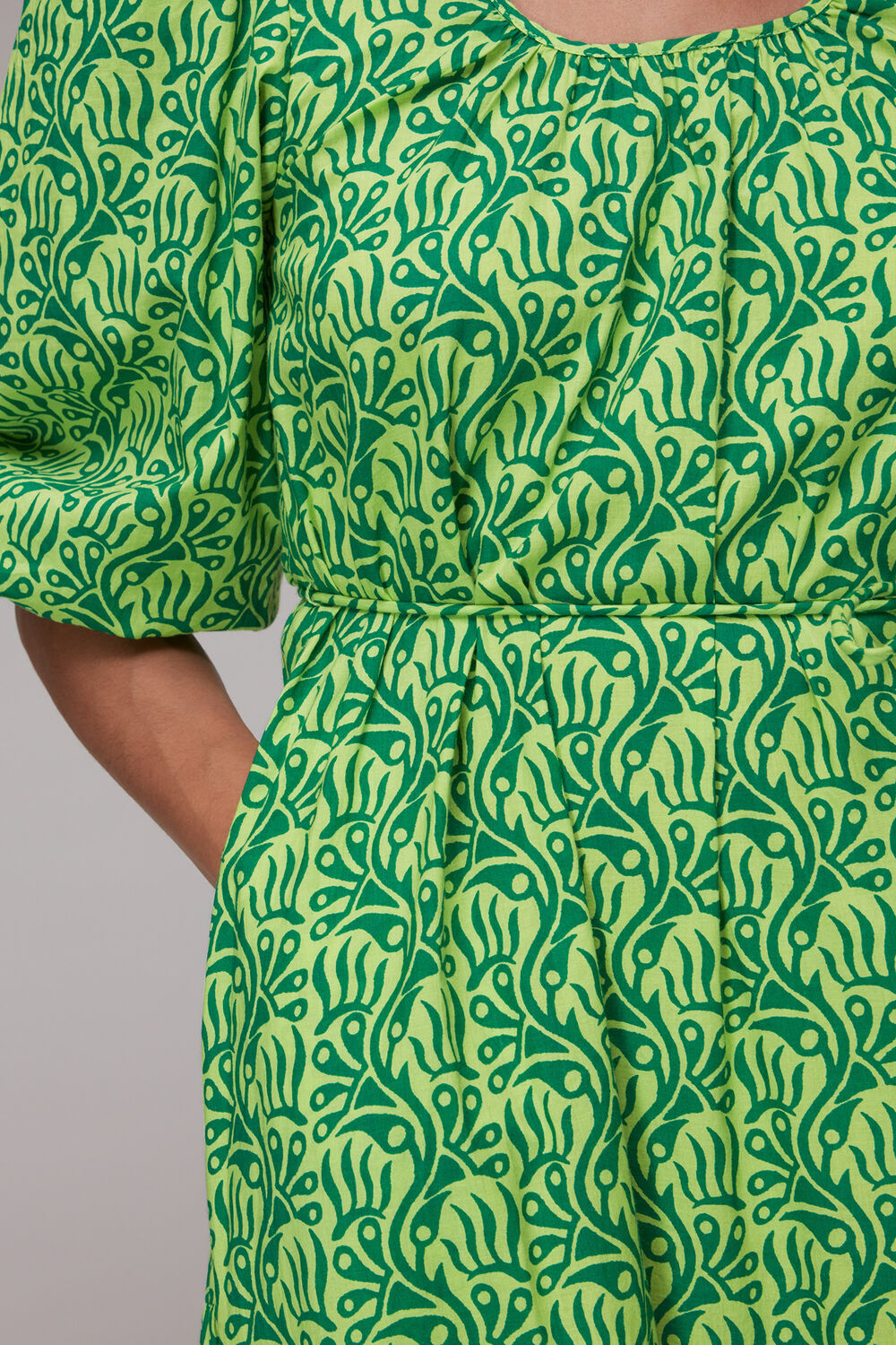 Climbing Vine Trapeze Dress