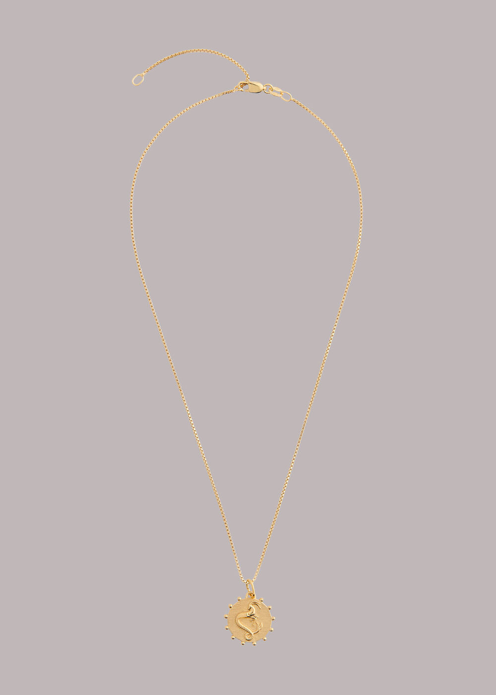 RJ Capricorn Necklace