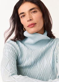 Aoife Fine Cable Roll Neck