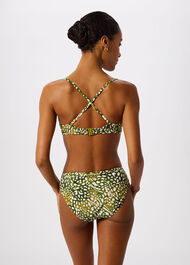 Animal Bikini Bottom