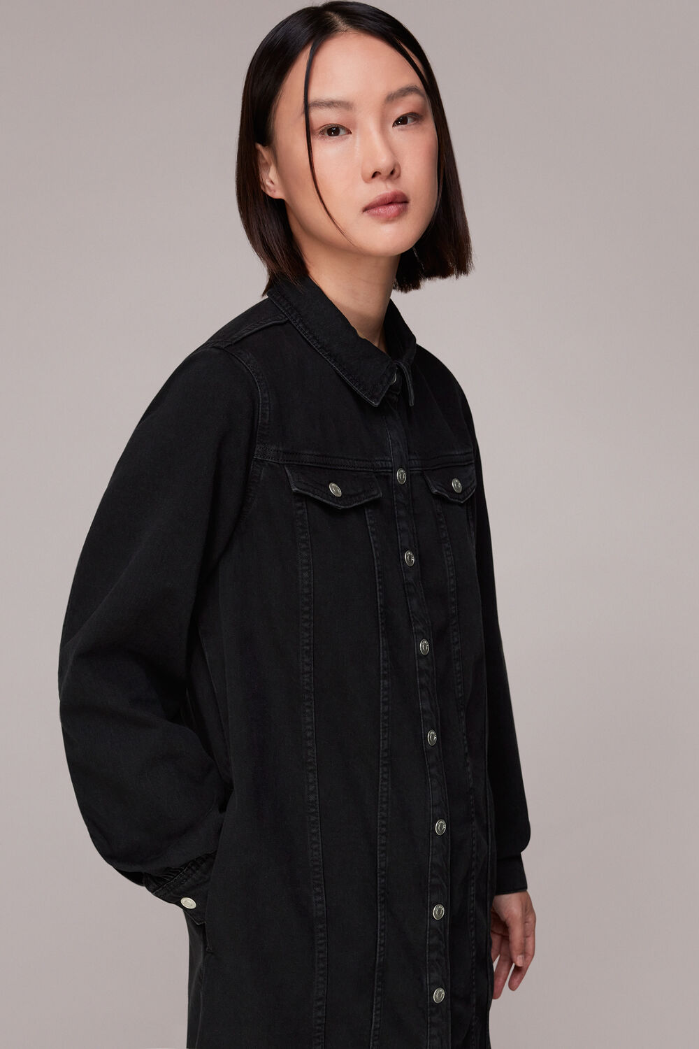 Rosanna Denim Dress