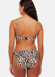 Animal Printed Bikini Bottom