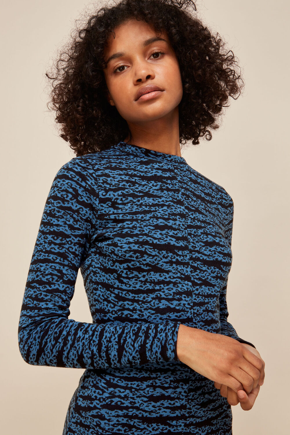 Tiger Leopard Flippy Dress