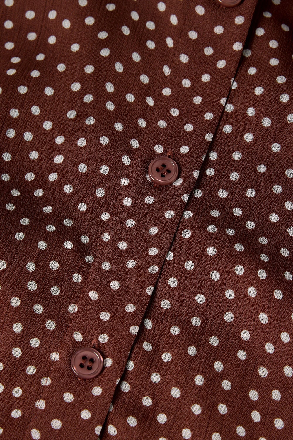 Brown Polka Dot Sheer Sleeve Shirt