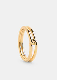 Link Detail Ring