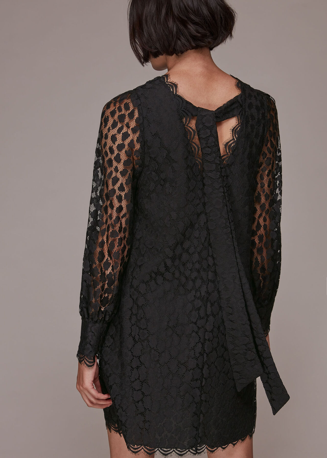 Black Animal Lace Tie Detail Dress | WHISTLES