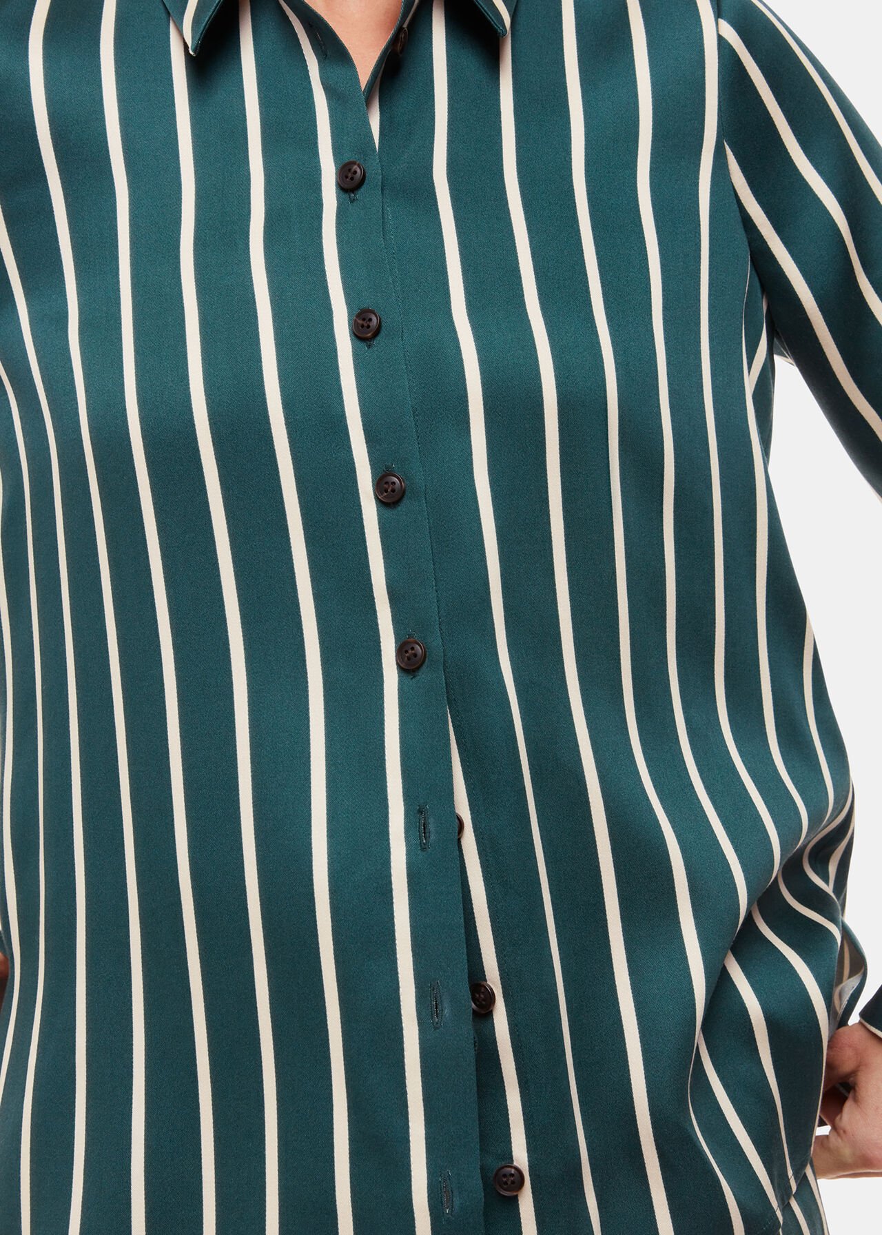 Petite Alex Stripe Shirt