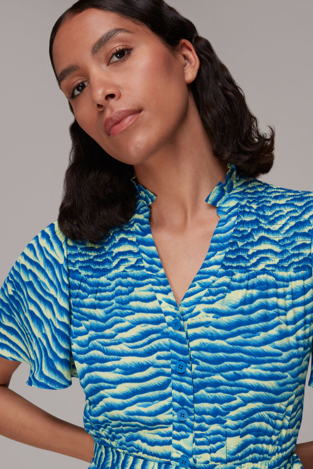 Seafoam Zebra Midi Dress