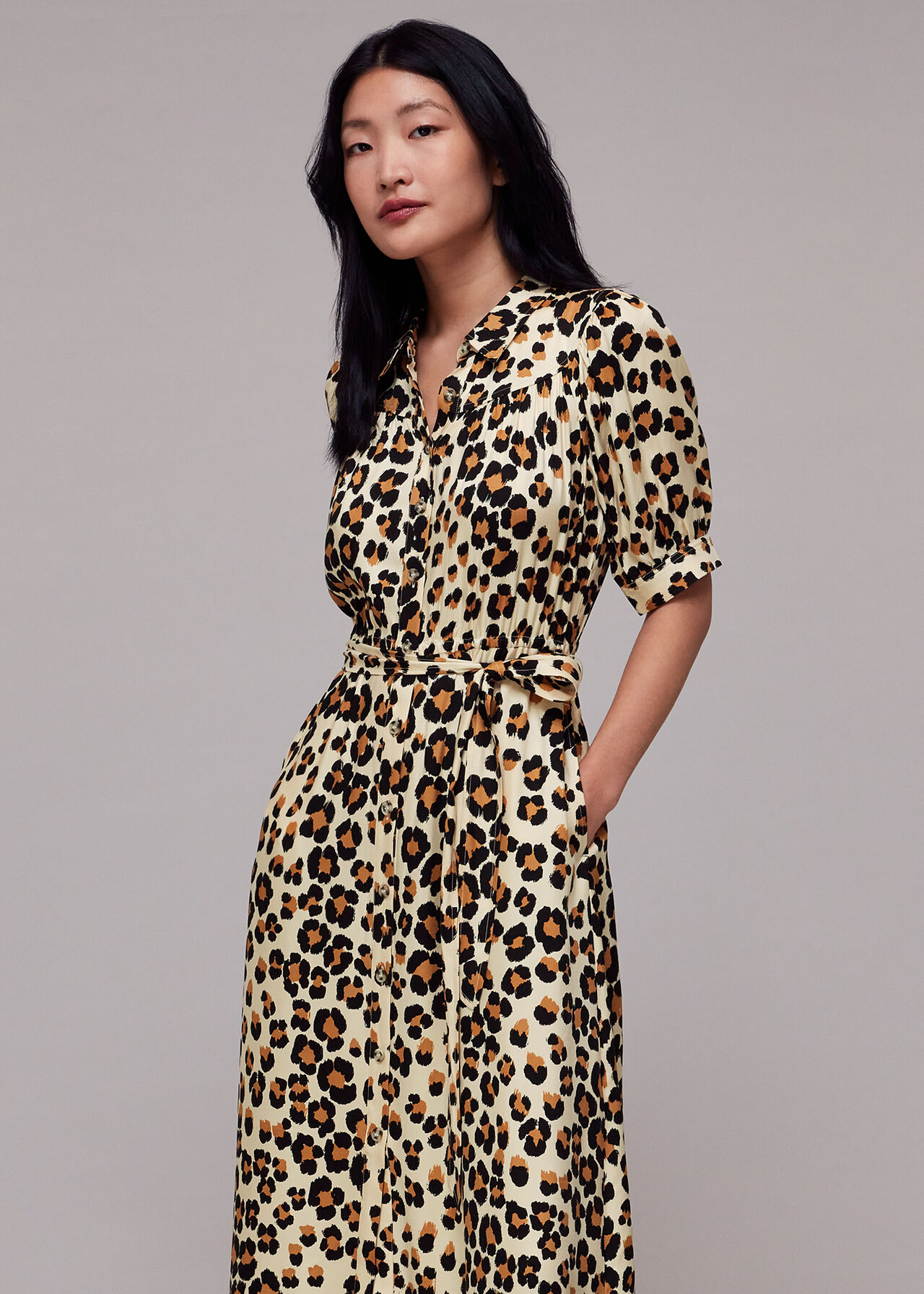 Leopard Print Painted Leopard Shirt Dress, WHISTLES