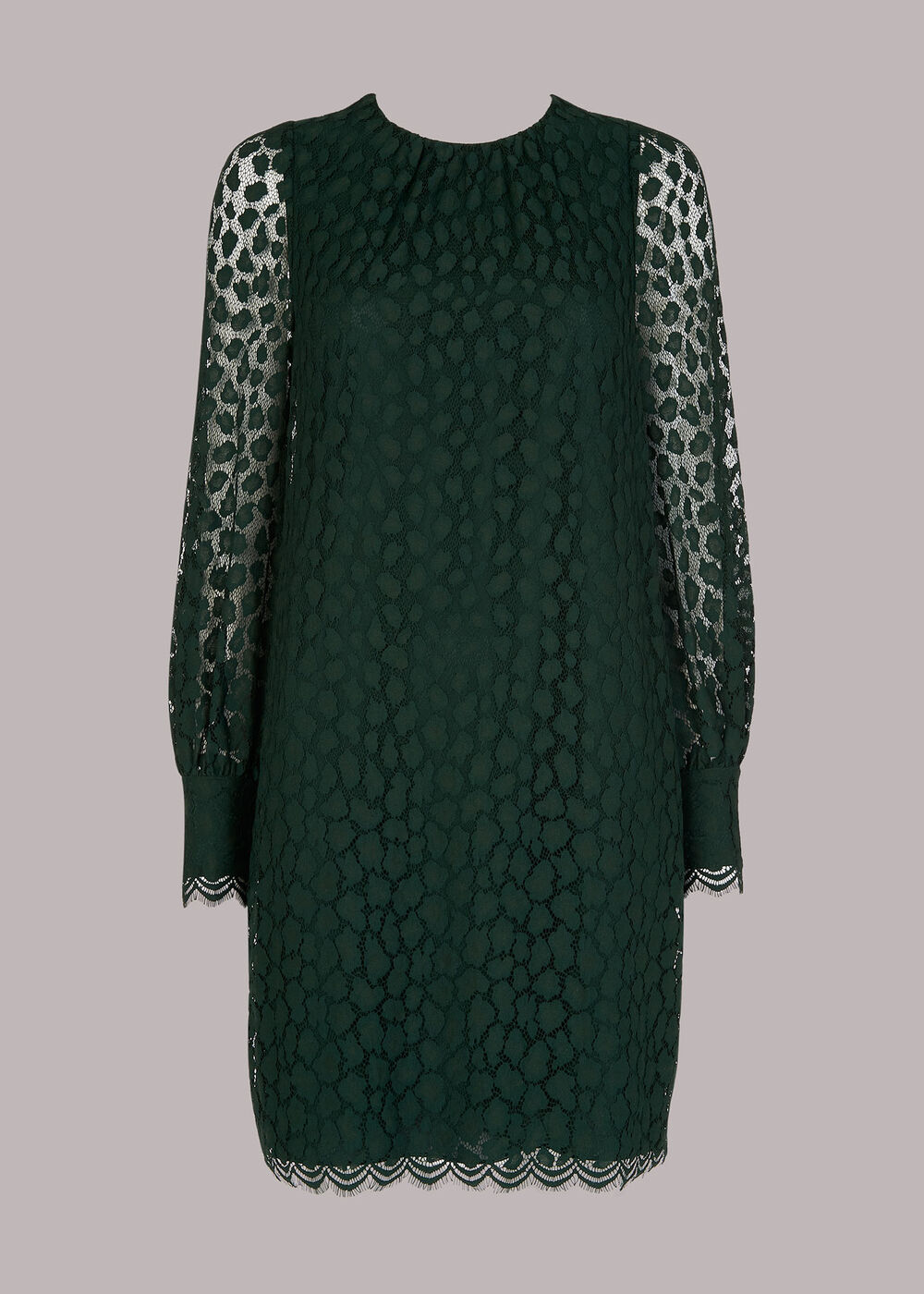 Animal Lace Tie Detail Dress