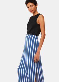 Eliza Stripe Printed Skirt