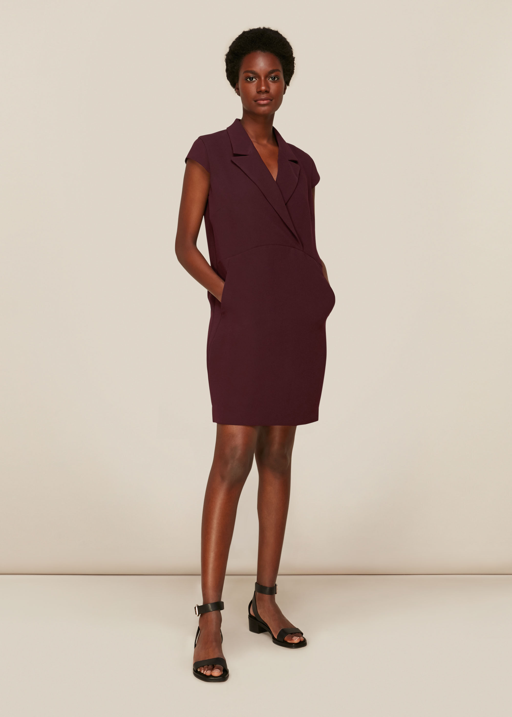 Burgundy Cocoon Crepe Dress WHISTLES