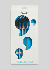 Swell Metal Straws Silver