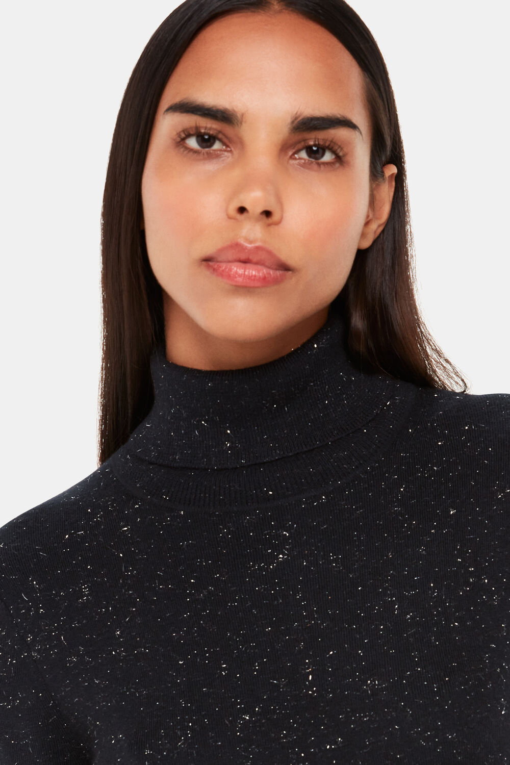 Annie Sparkle Roll Neck Dress