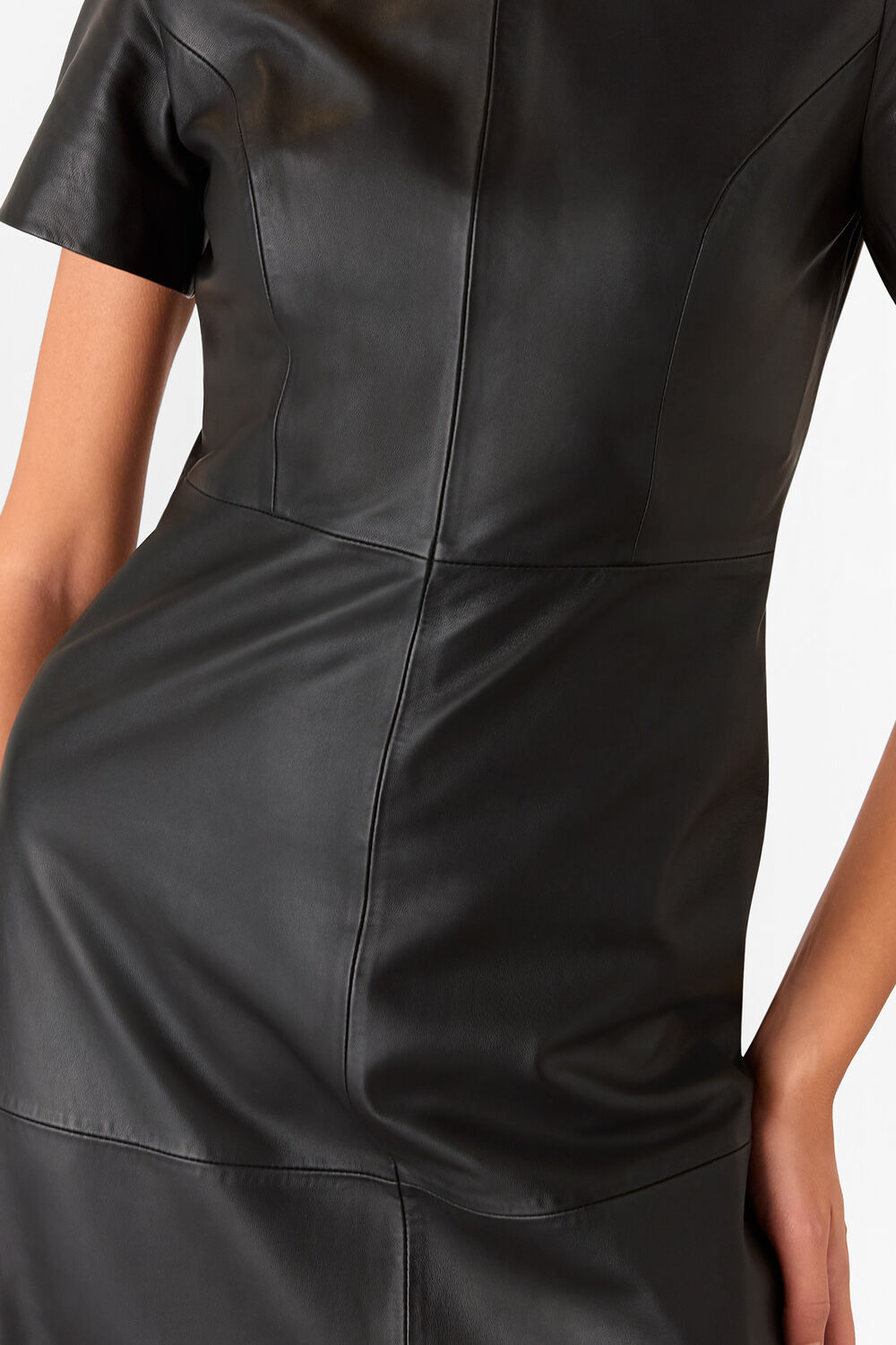 Black Rosamund A Line Leather Dress