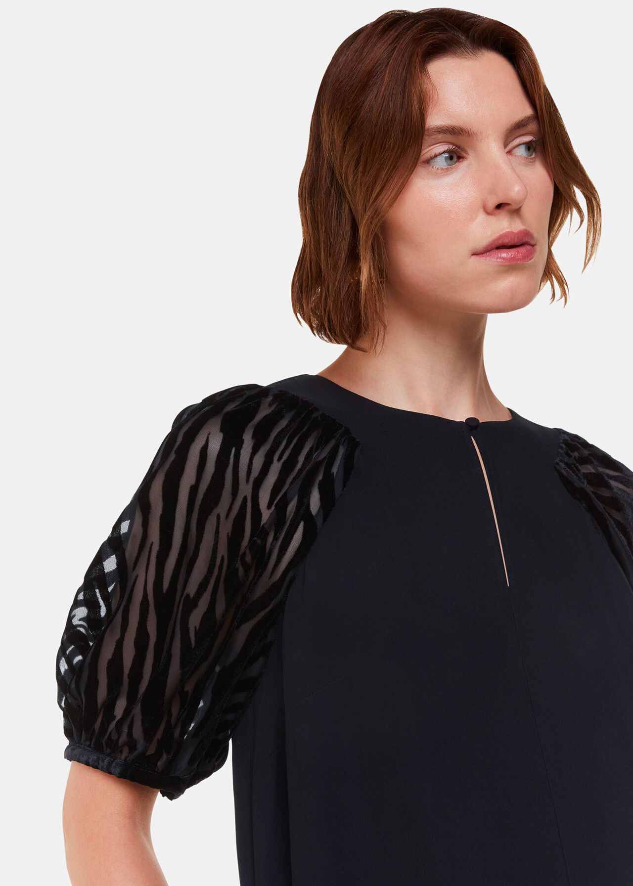 Lucy Zebra Velvet Sleeve Dress