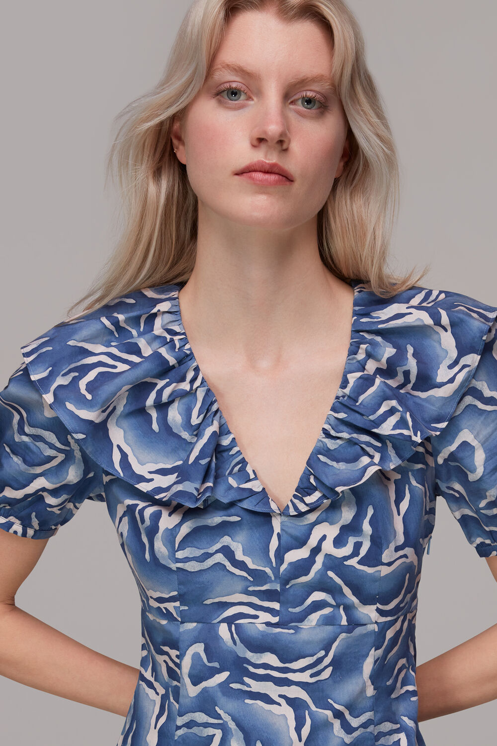 Watercolour Zebra Poplin Dress