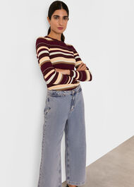 Multi Stripe Crew Neck Knit