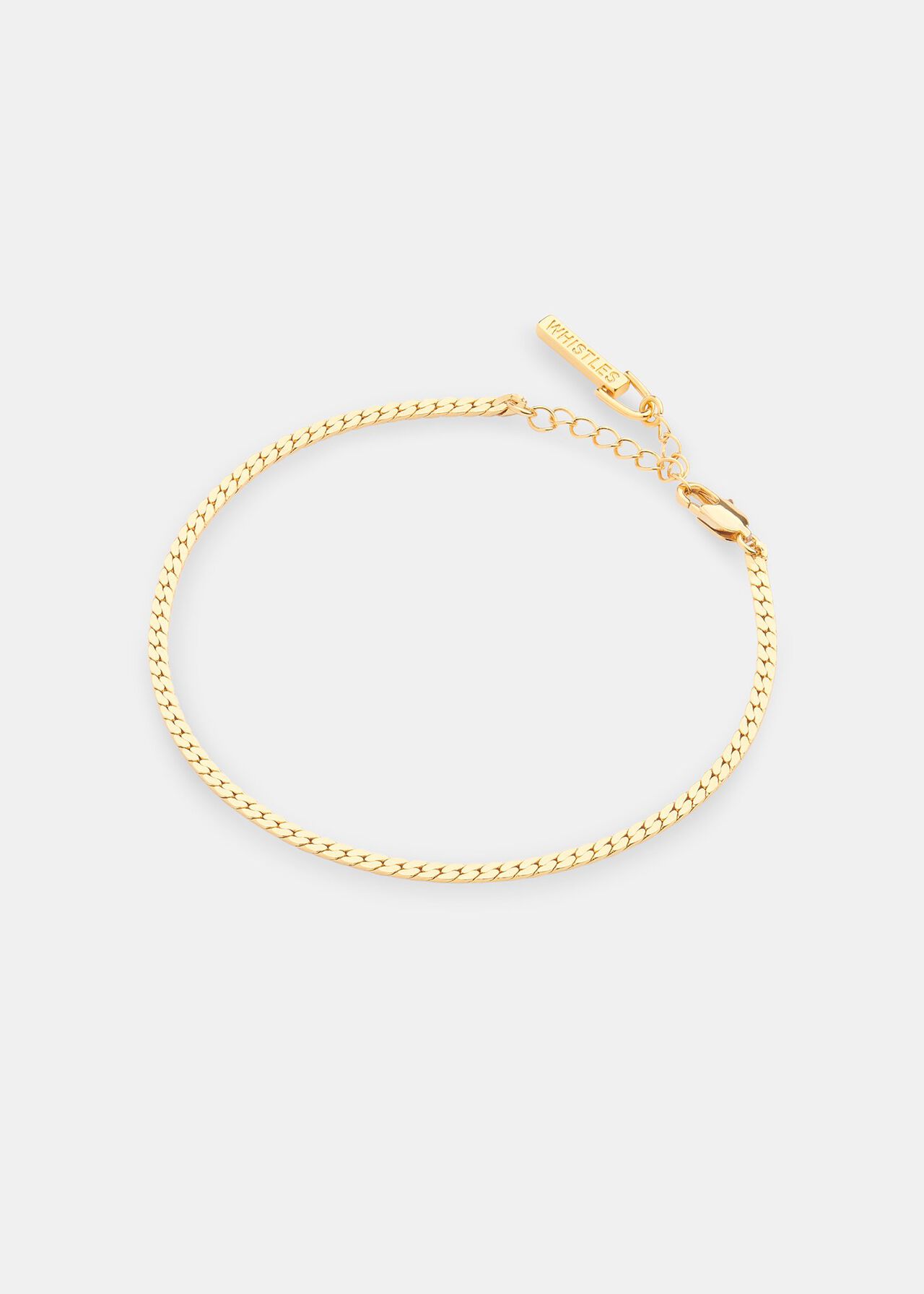 Classic Snake Chain Anklet
