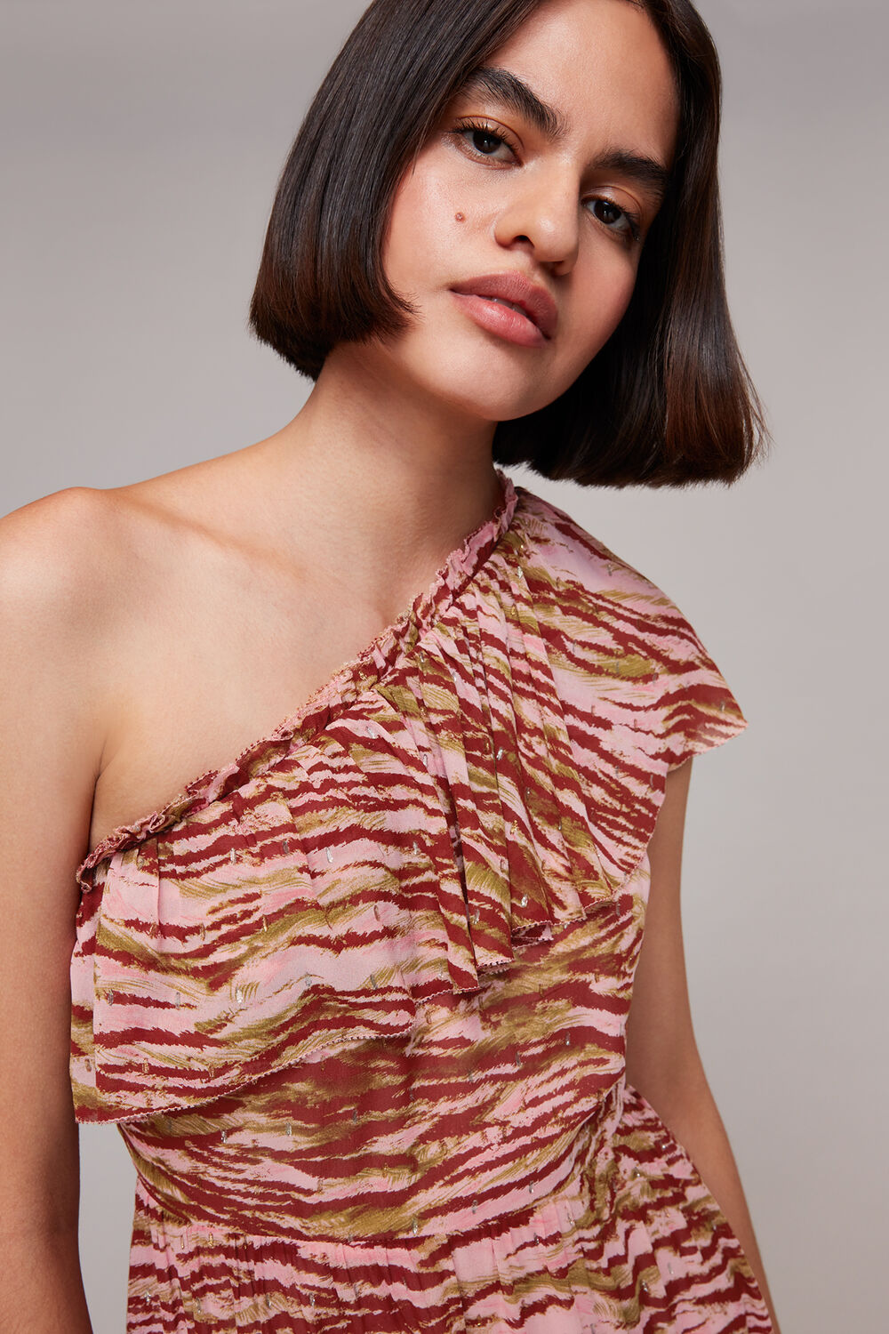 Multicolour Clouded Tiger Asymmetric Dress