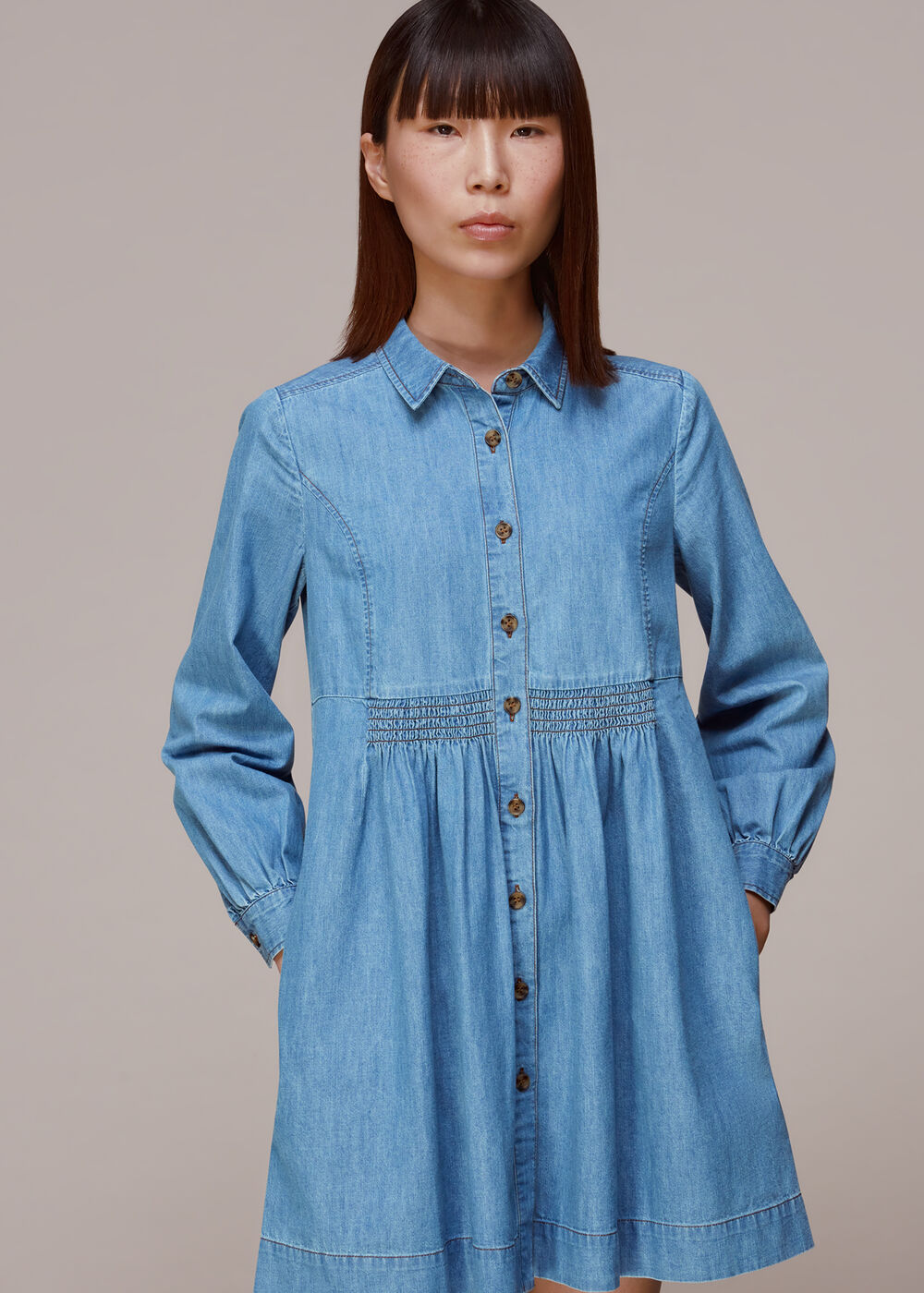 Chambray Dress