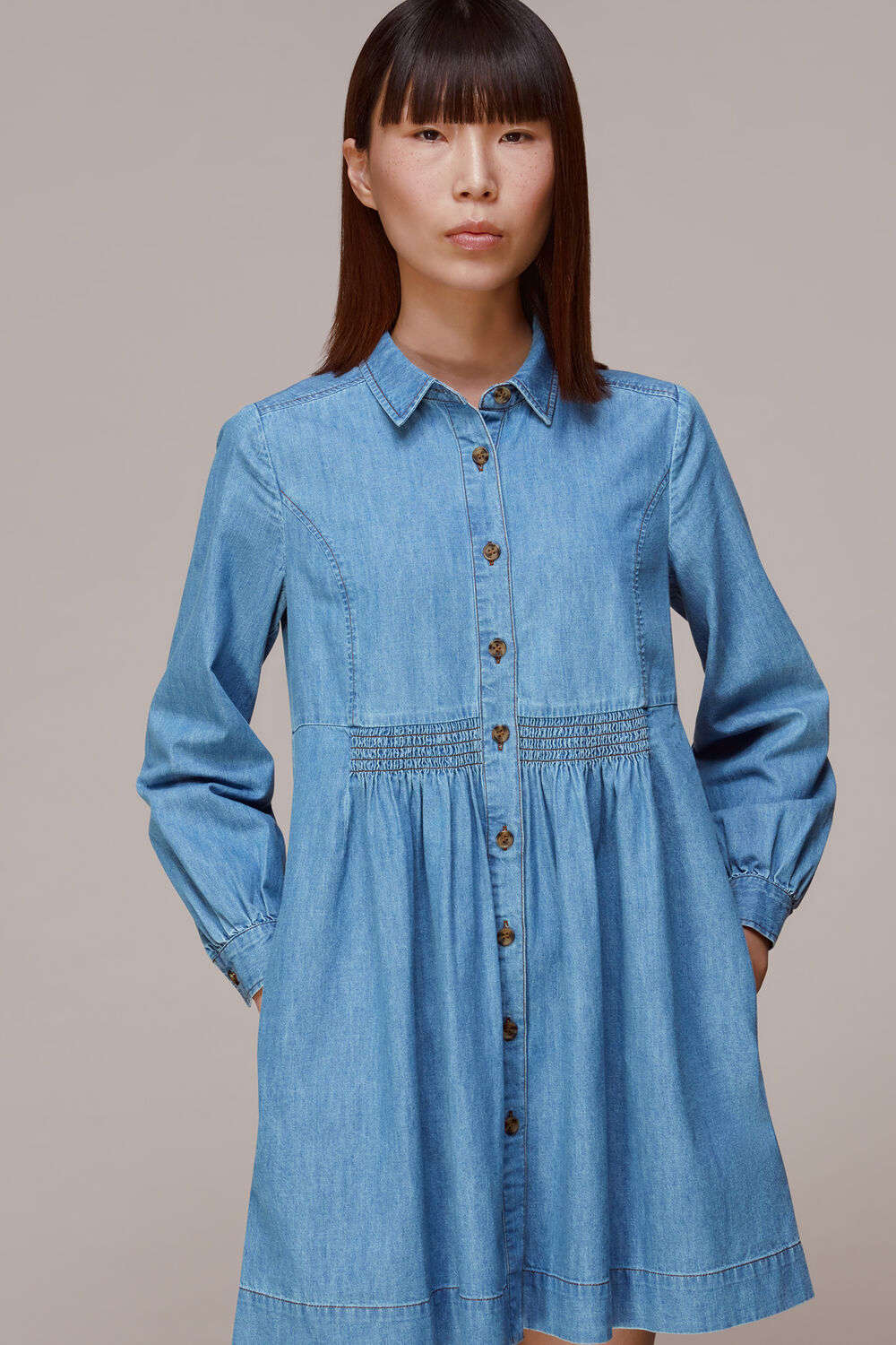 Chambray Dress