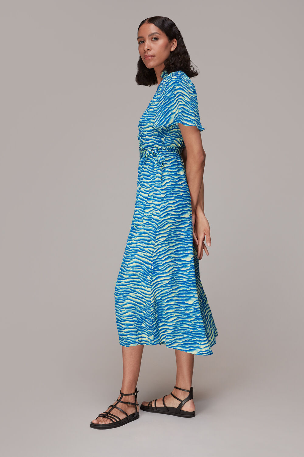 Seafoam Zebra Midi Dress
