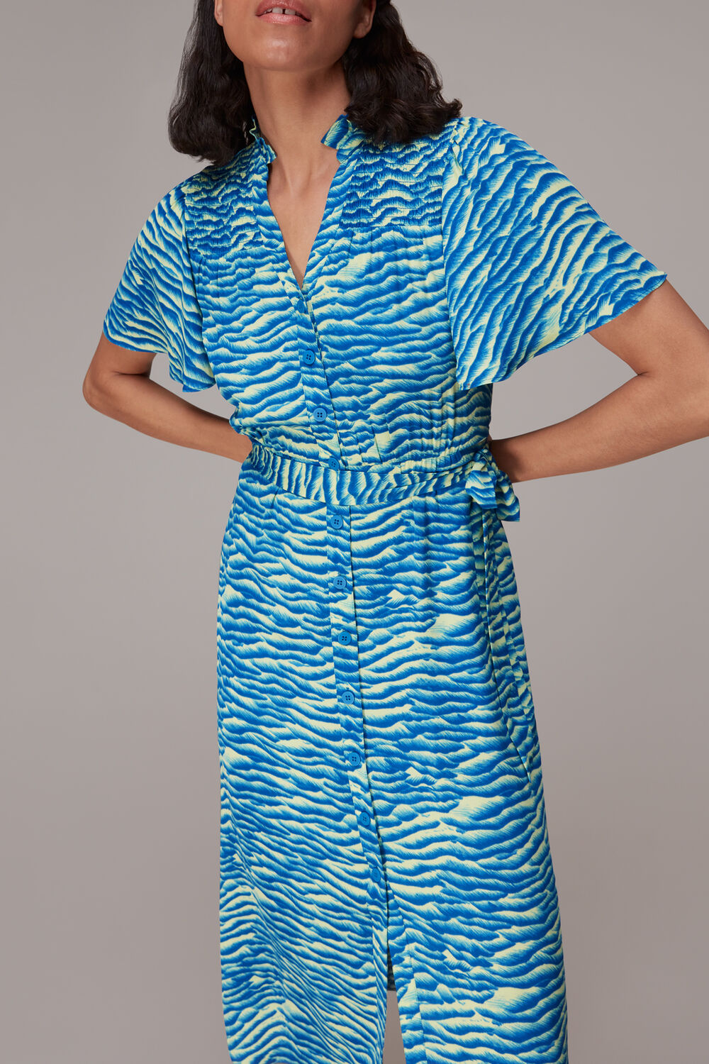 Seafoam Zebra Midi Dress