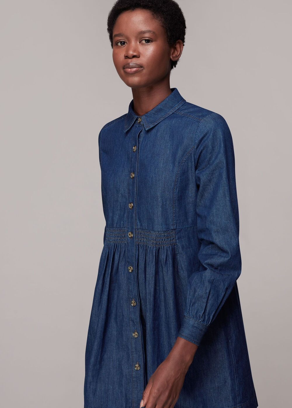 Chambray Dress