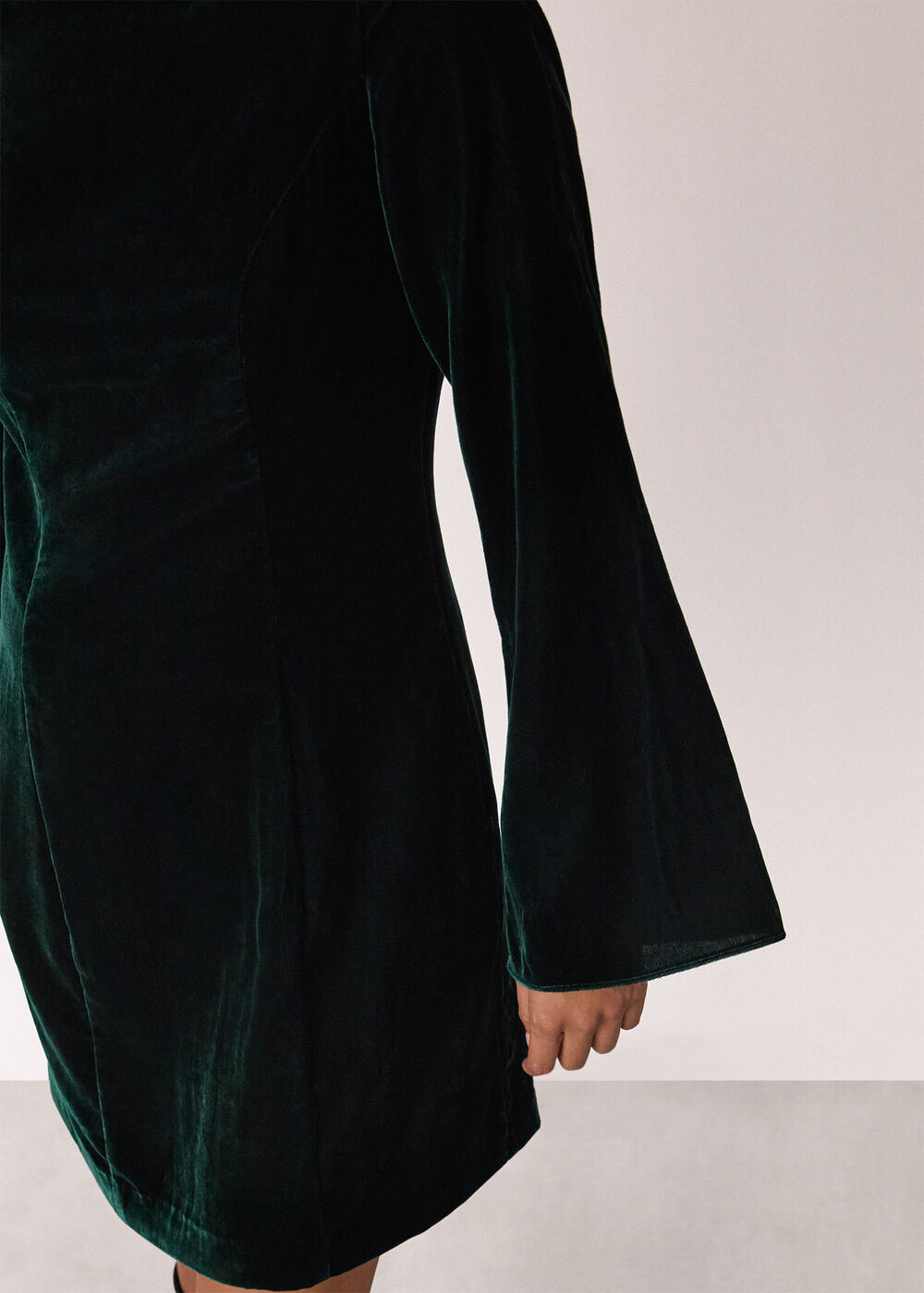 Petite Velvet Flare Sleeve Dress