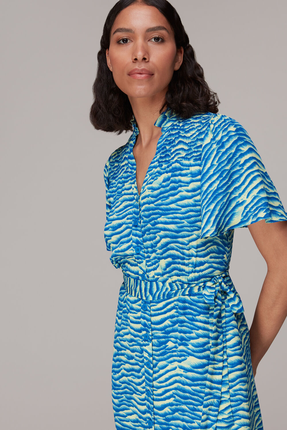 Seafoam Zebra Midi Dress