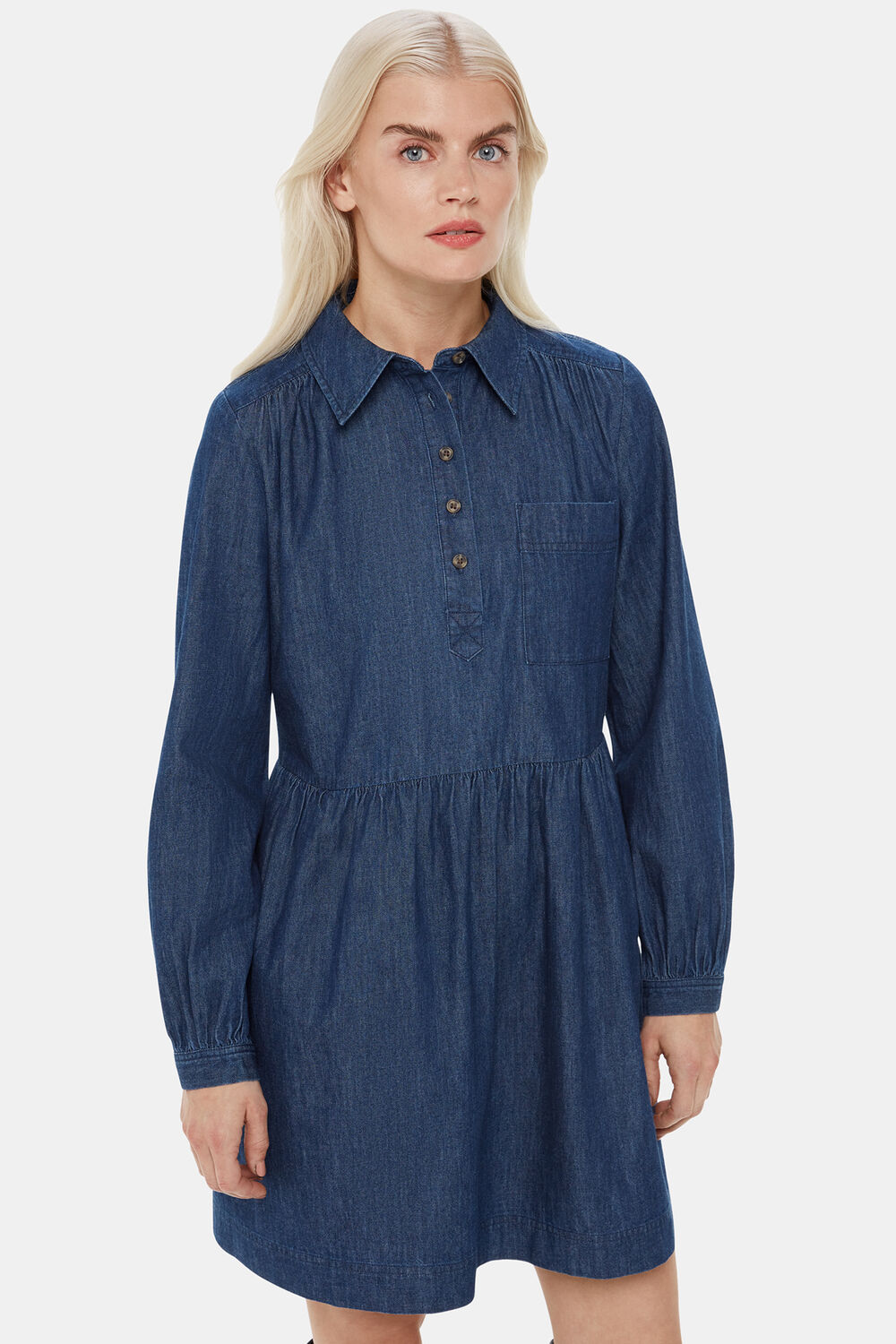 Petite Winnie Chambray Denim Dress