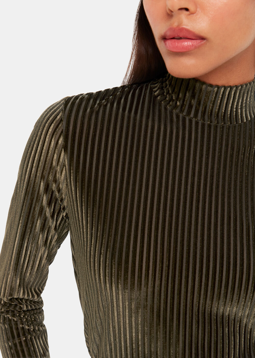 Velvet Stripe High Neck Top
