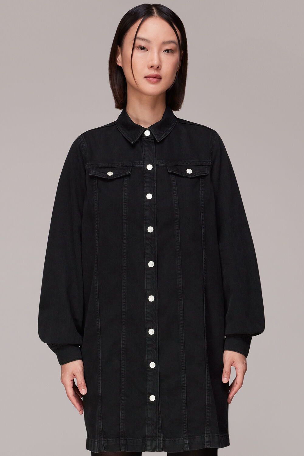 Rosanna Denim Dress