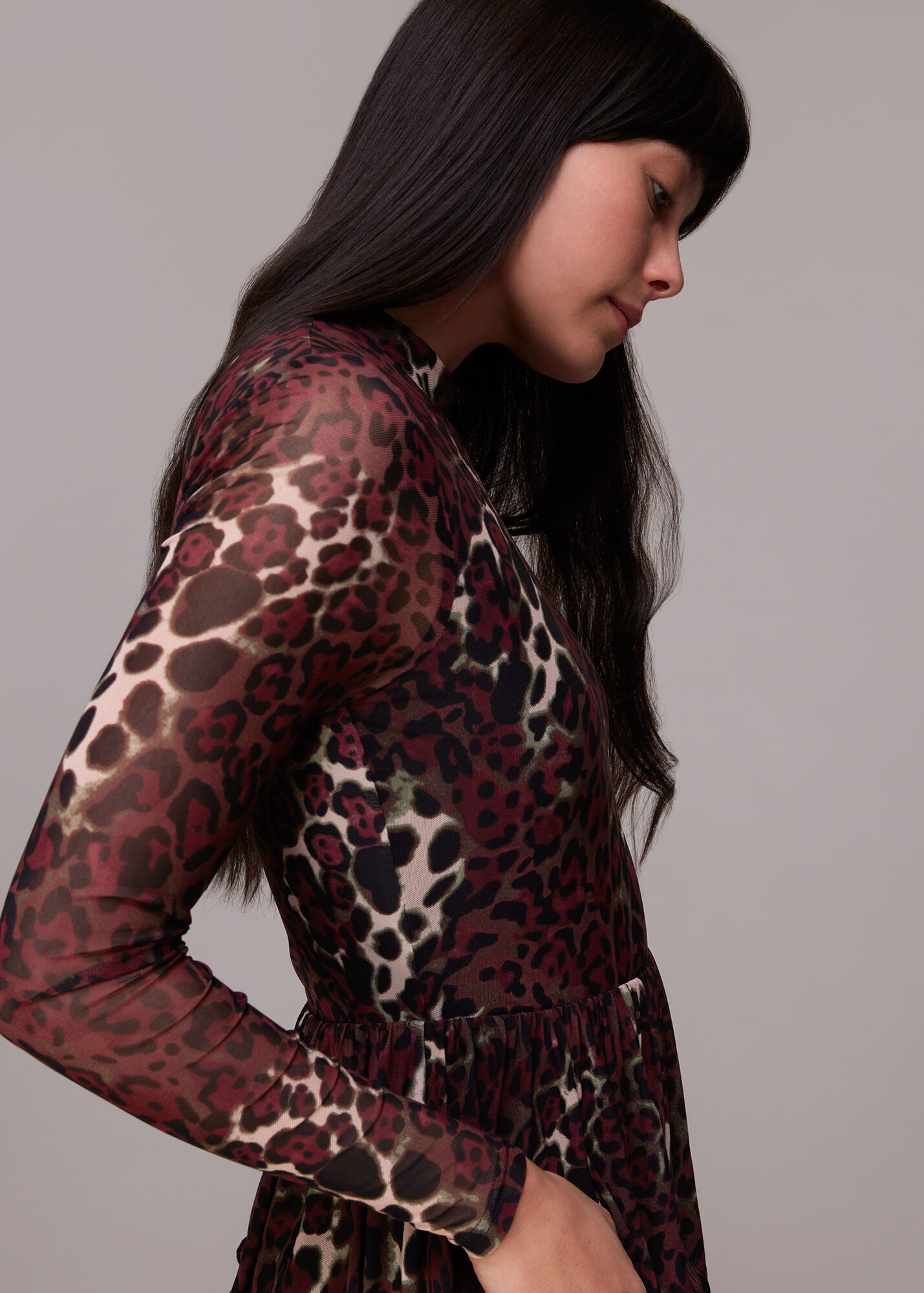 Multicolour Night Cat Tiered Mesh Dress WHISTLES