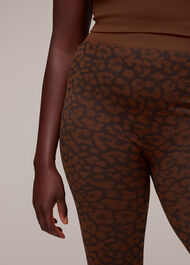 Animal Seamless Sports Legging