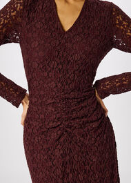 Ruched Bodice Lace Dress