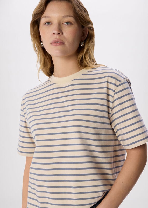 Blue Stripe Relaxed Cotton T-shirt