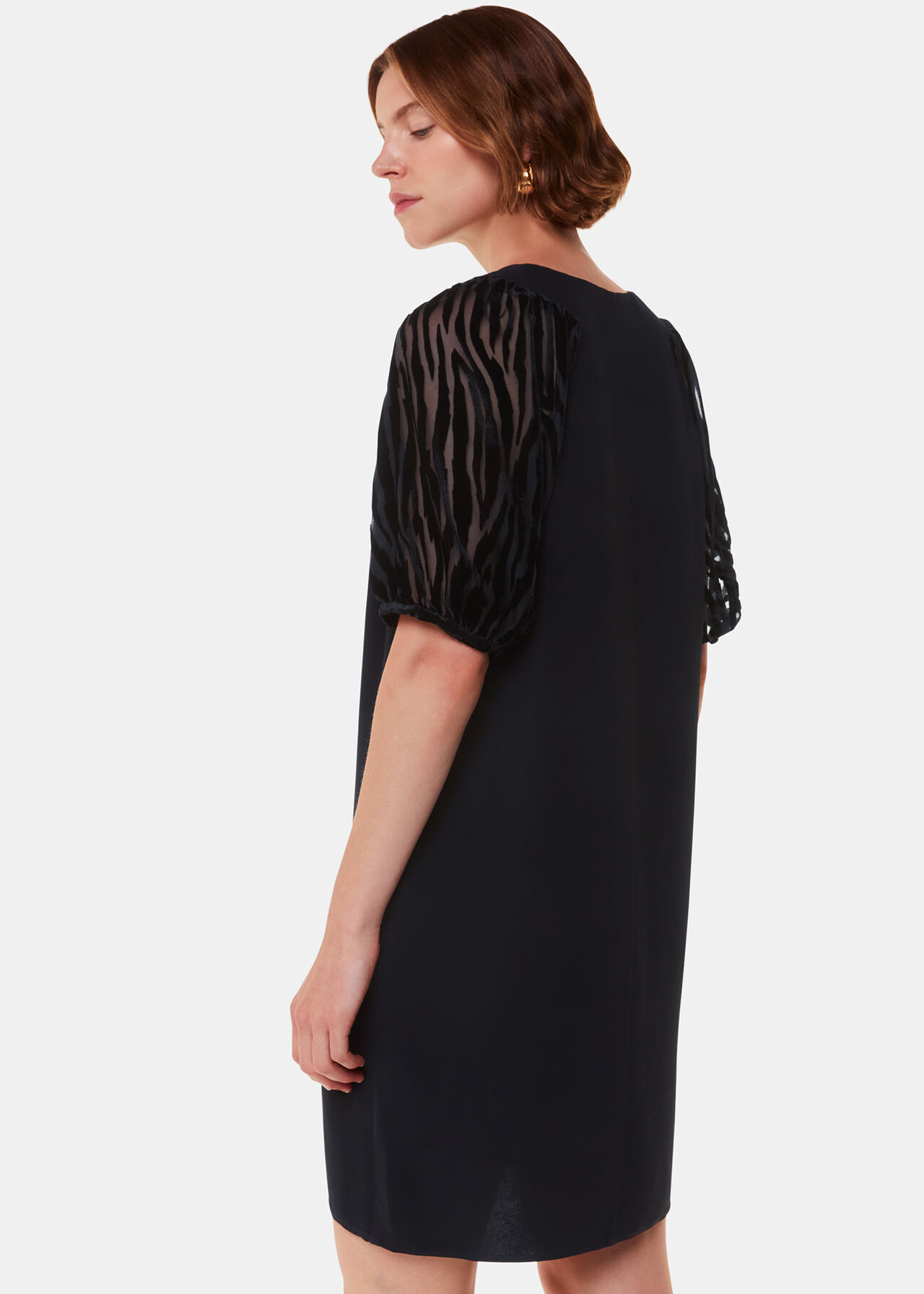 Lucy Zebra Velvet Sleeve Dress