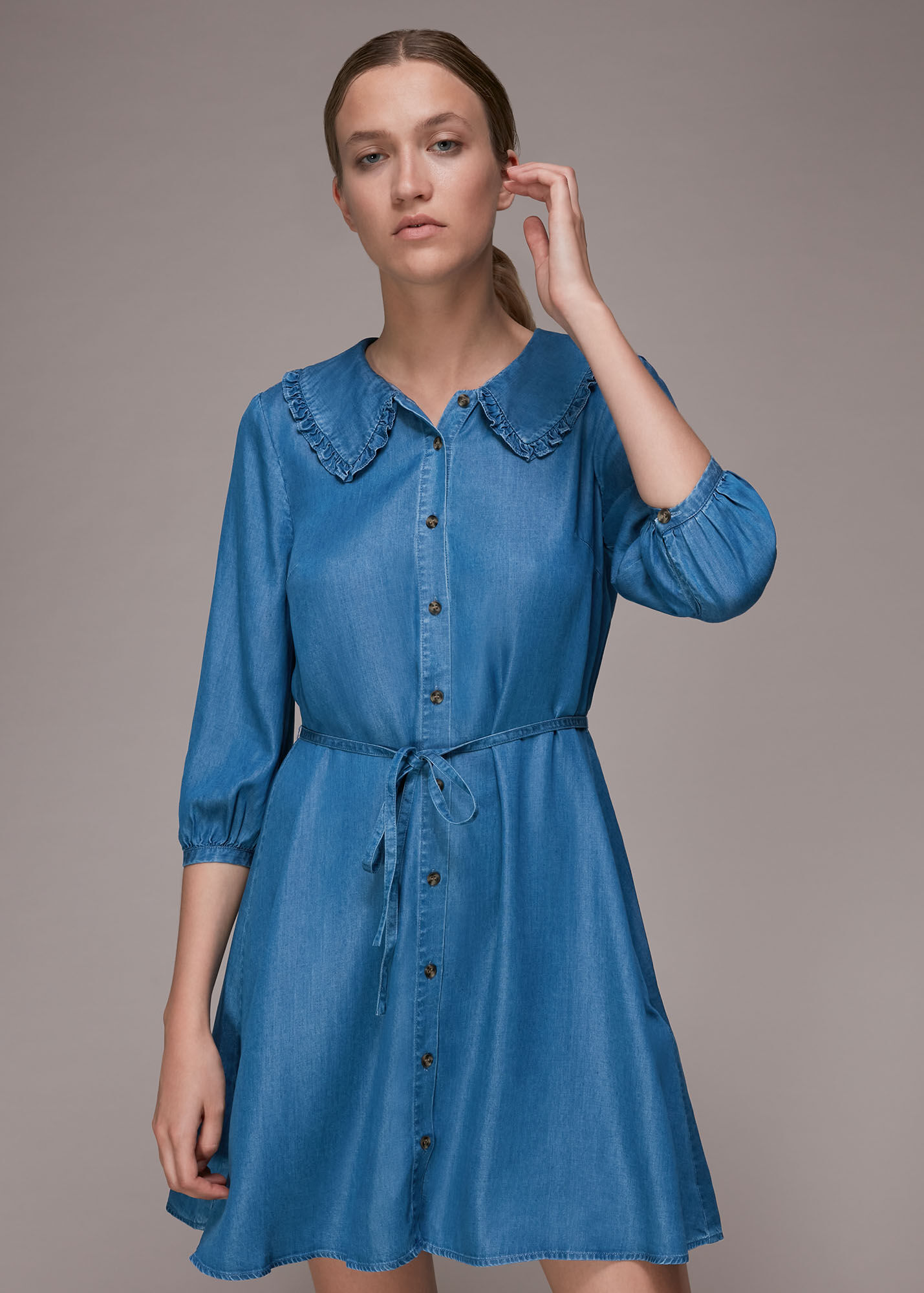 Denim Chambray Collar Dress WHISTLES Whistles