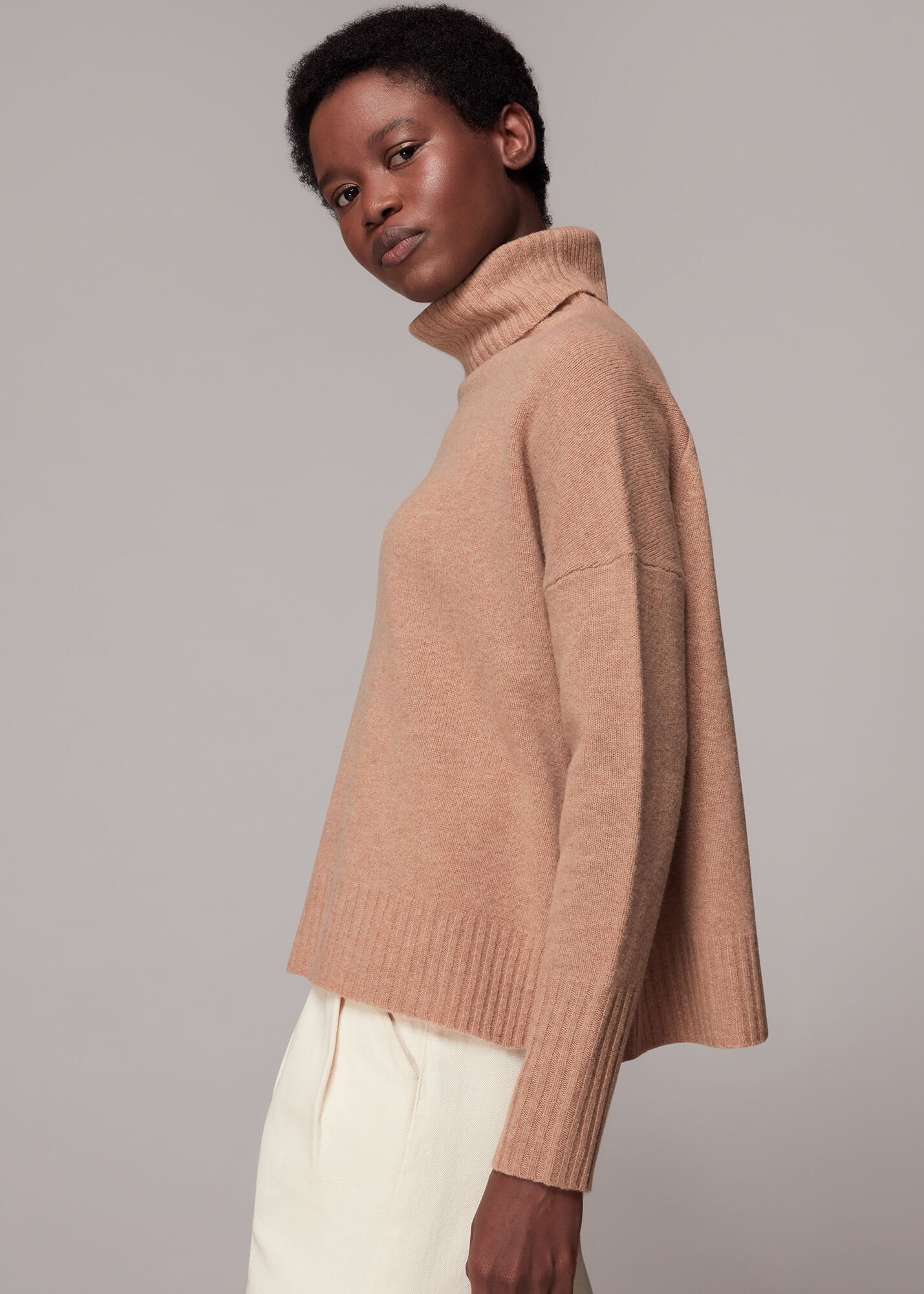 Camel Roll Neck Wool Knit | WHISTLES |