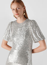 Arabelle Sequin Midi Dress
