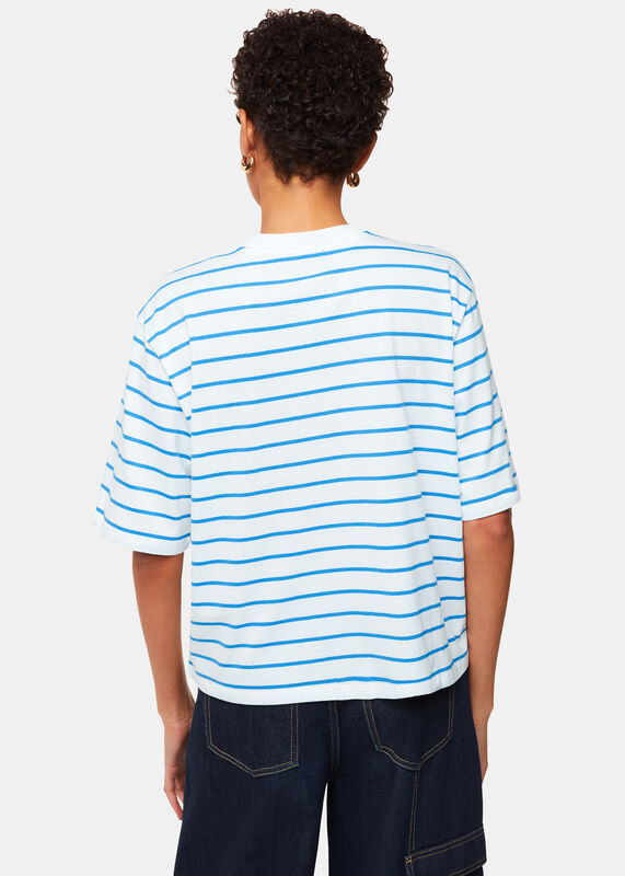 Blue Stripe Short Sleeve T-shirt