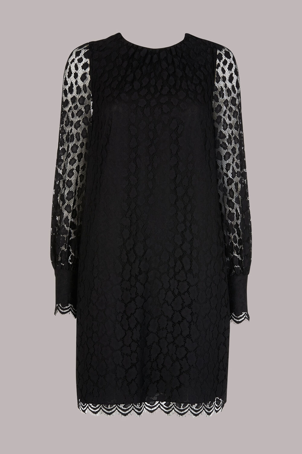Animal Lace Tie Detail Dress